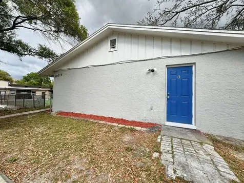 10015 N Aster Avenue Tampa FL 33612