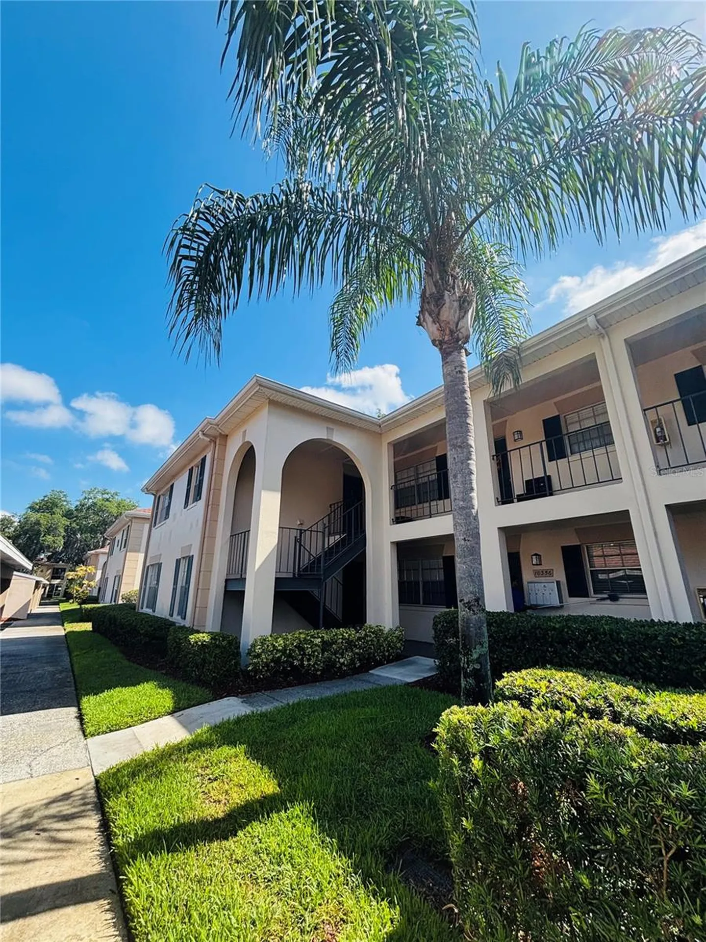 10356 Carrollwood Lane Tampa FL 33618