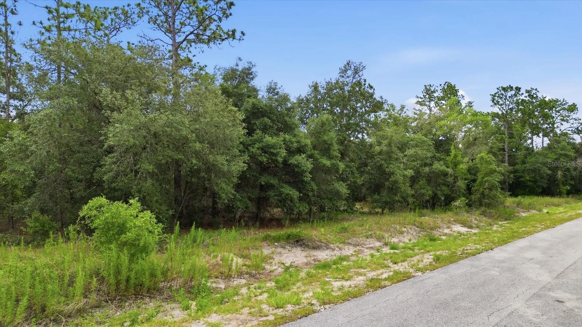 0000 SW Sands Pt Ave Lot 32 Dunnellon FL 34431