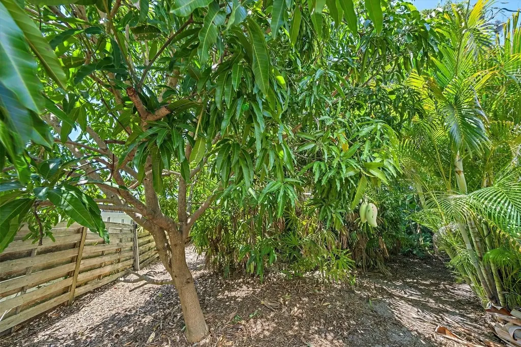 2462 Clematis Street Sarasota FL 34239