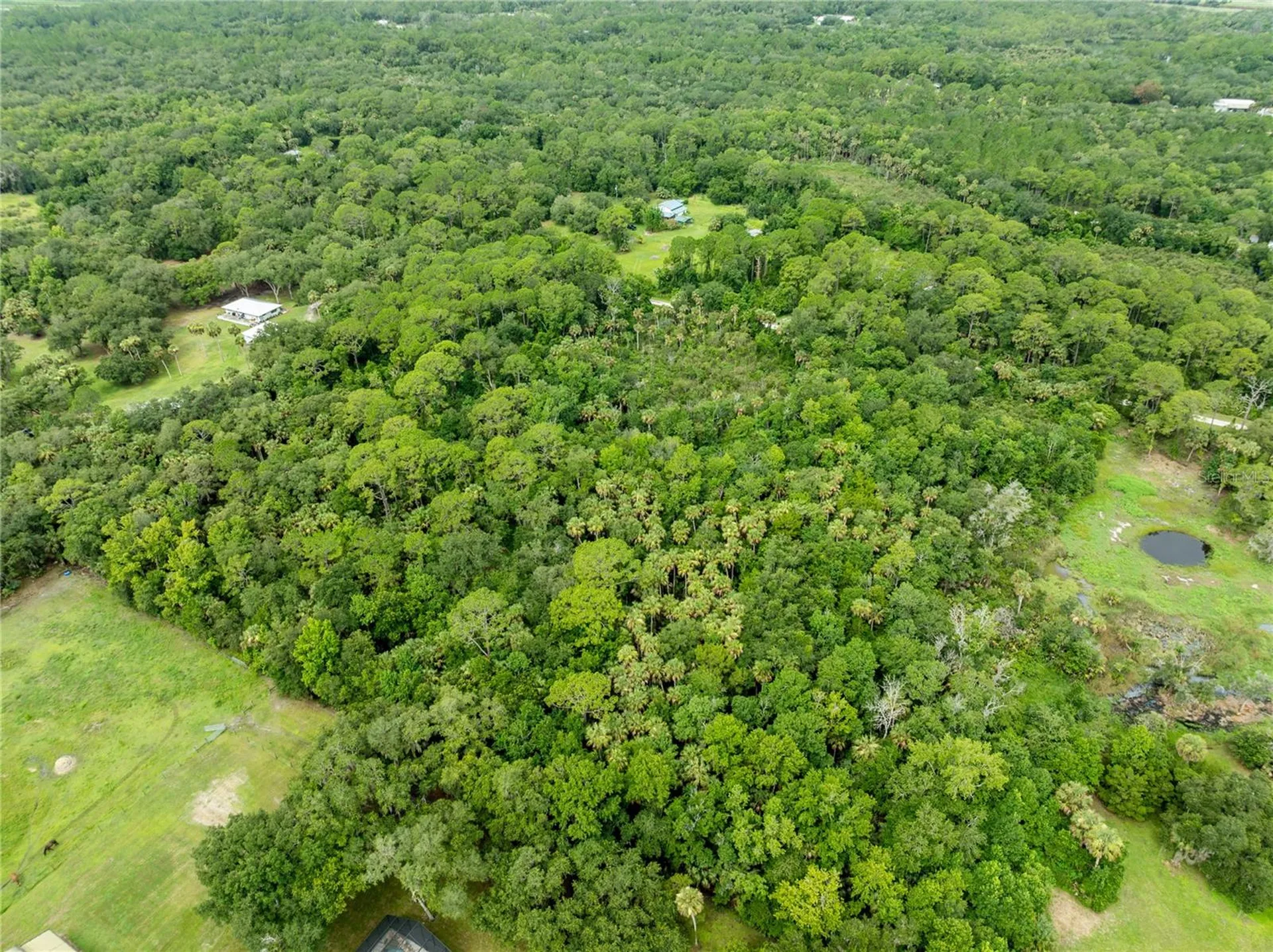 2750 Perch Road Geneva FL 32732