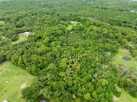 2750 Perch Road Geneva FL 32732