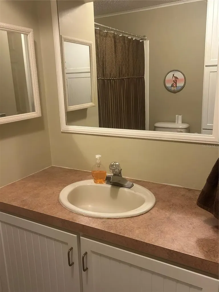 1708 Lilly Lane Lady Lake FL 32159