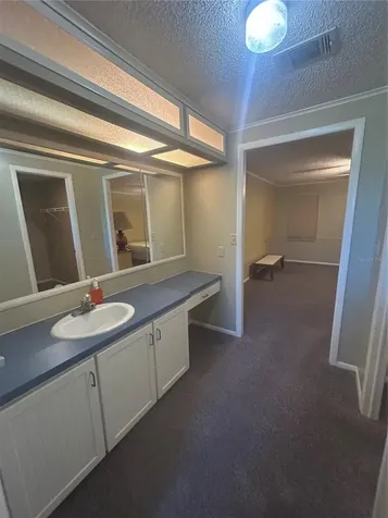 1708 Lilly Lane The Villages FL 32159