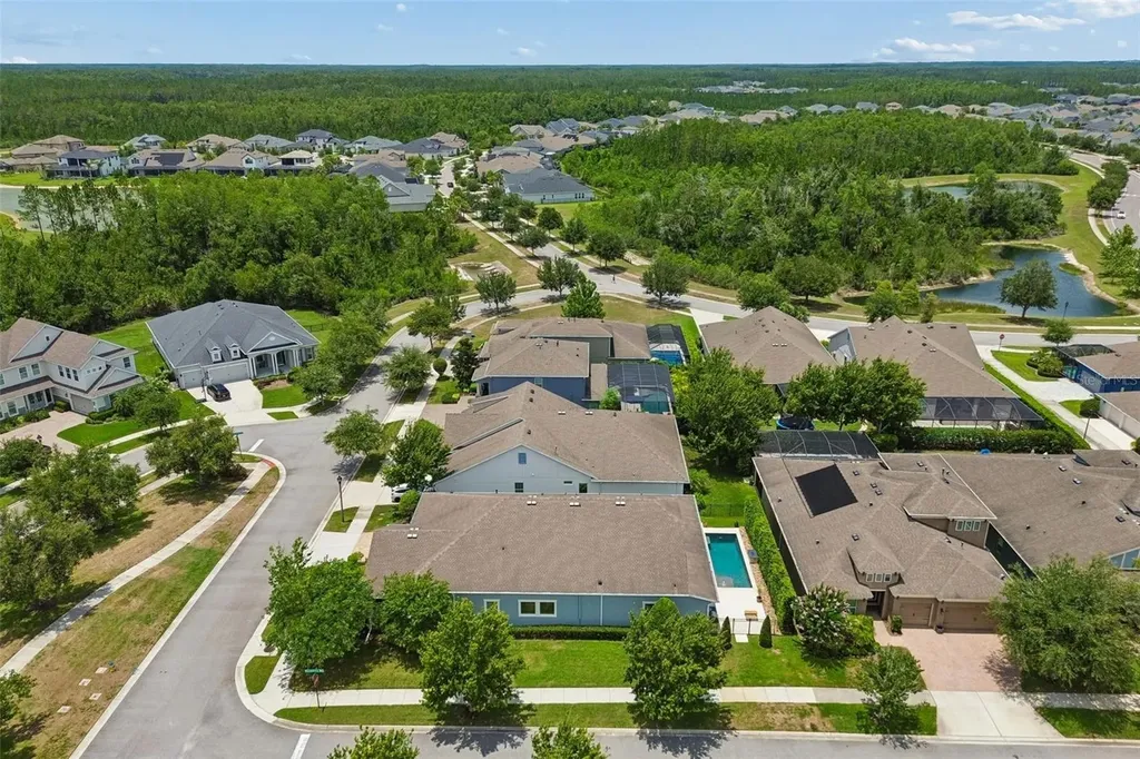 4000 Blue Lantana Lane Land O Lakes FL 34638