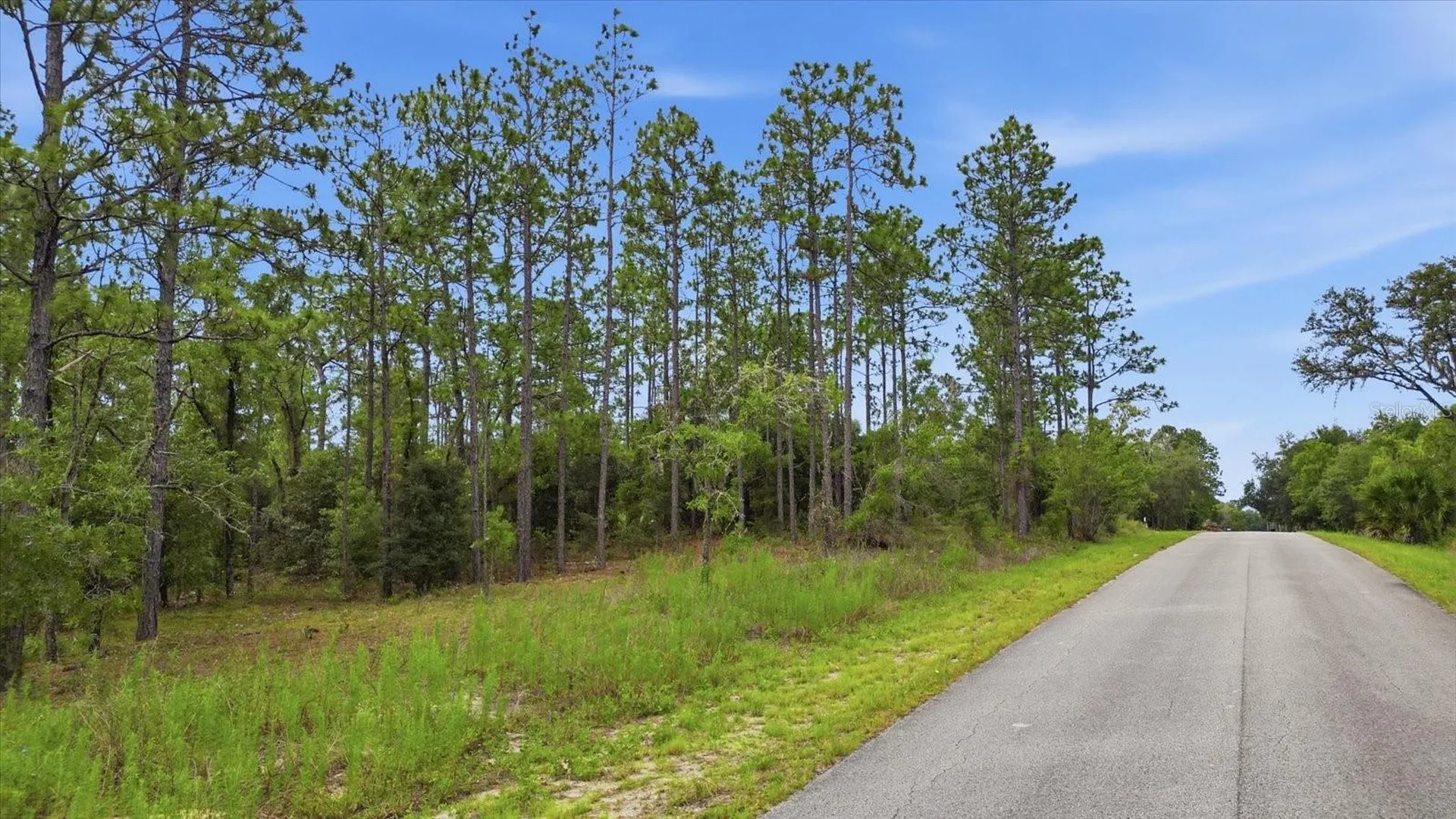 0000 SW Sands Point Ave Lot 38 Dunnellon FL 34431