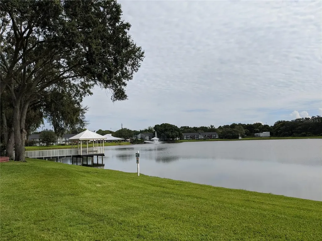 209 Lake Brook Circle Brandon FL 33511