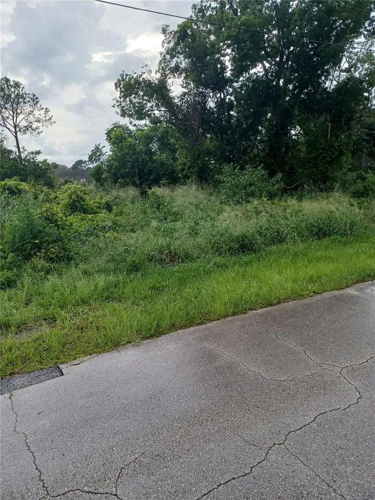 2664 Hoover Drive Deltona FL 32738