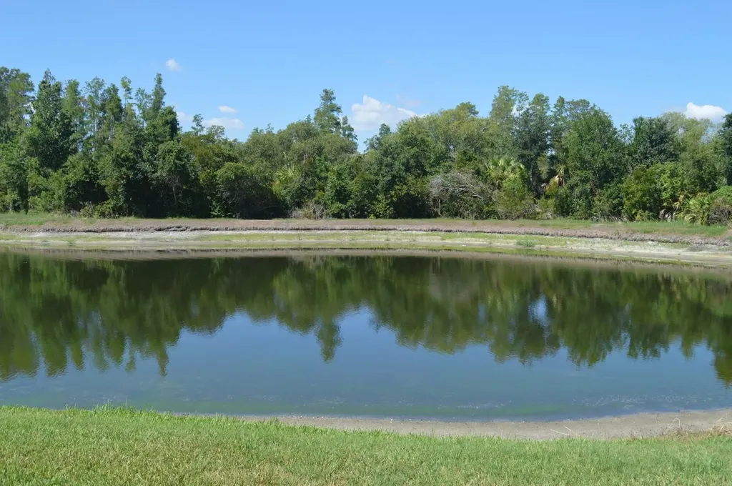 1926 Sassafras Drive Wesley Chapel FL 33543