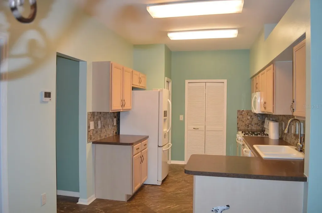1926 Sassafras Drive Wesley Chapel FL 33543