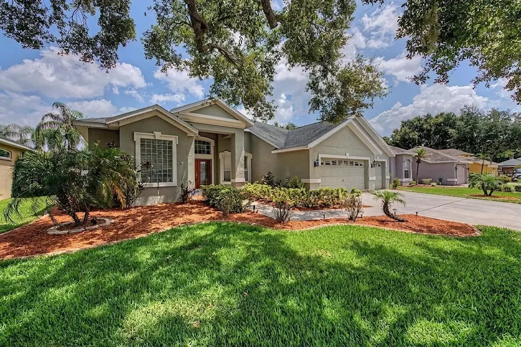 4332 Swift Circle Valrico FL 33596