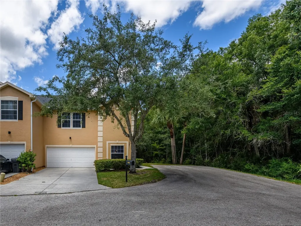 16322 Parkstone Palms Court Tampa FL 33647