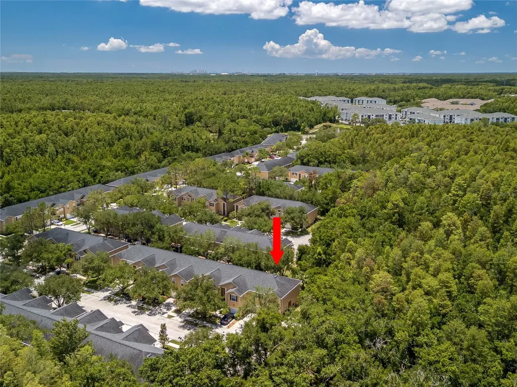 16322 Parkstone Palms Court Tampa FL 33647