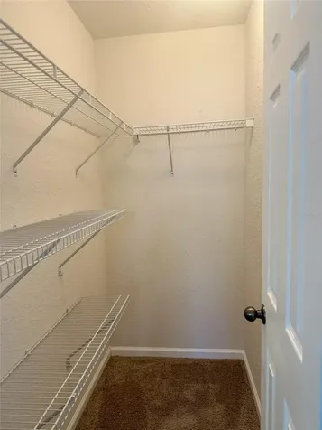 16322 Parkstone Palms Court Tampa FL 33647