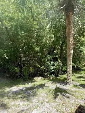 16322 Parkstone Palms Court Tampa FL 33647
