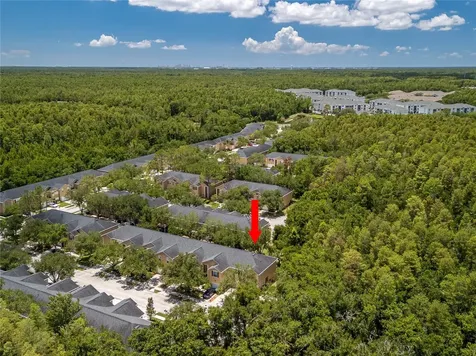16322 Parkstone Palms Court Tampa FL 33647