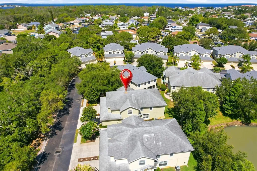 477 Harbor Ridge Drive Palm Harbor FL 34683