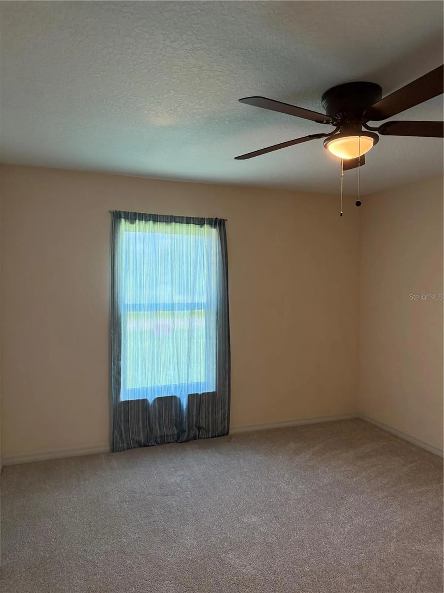 3770 SE 137th Lane Summerfield FL 34491