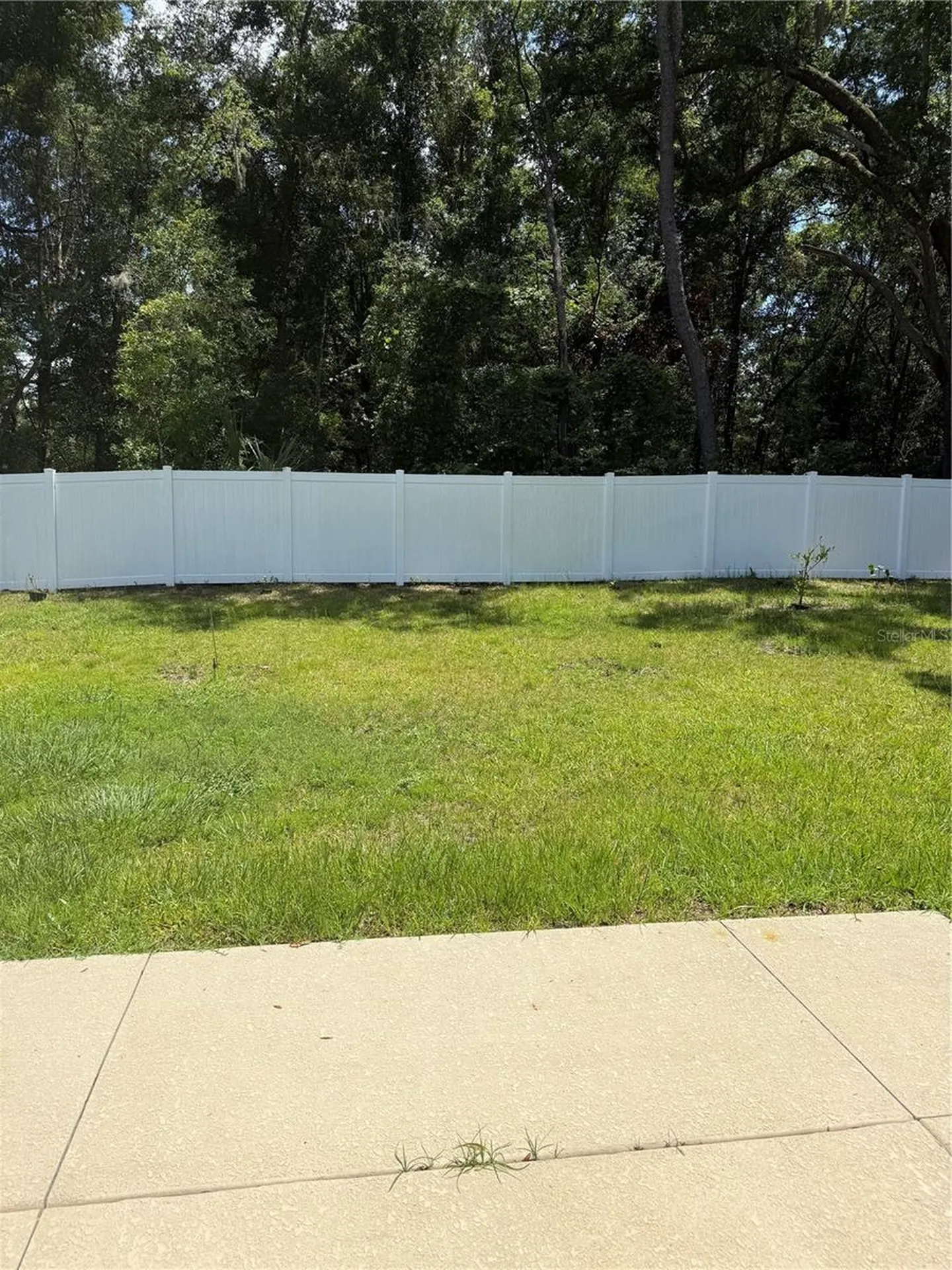 3770 SE 137th Lane Summerfield FL 34491