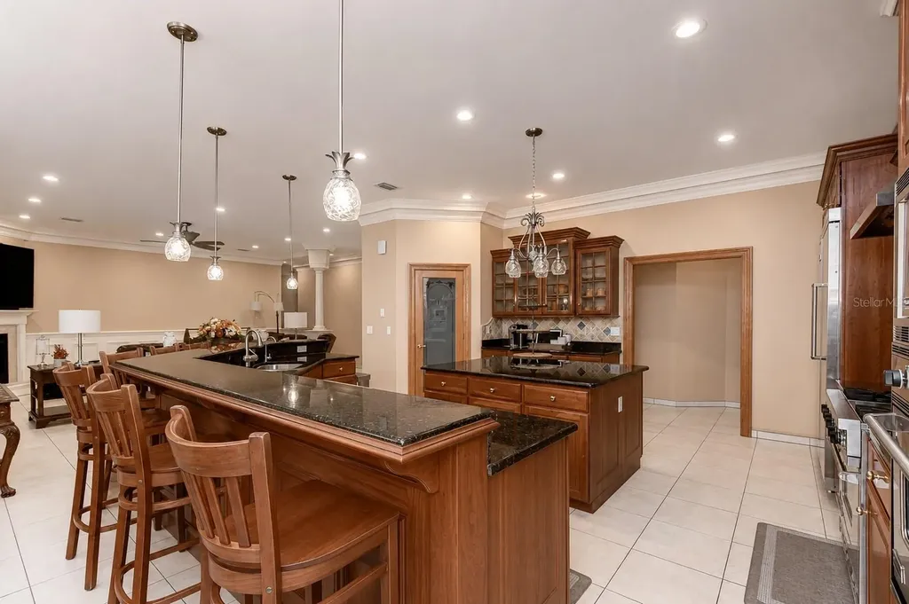 1009 Emerald Creek Drive Valrico FL 33596