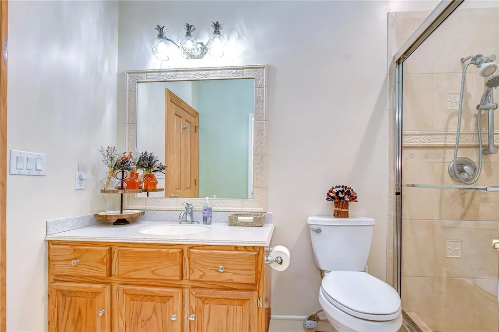 1009 Emerald Creek Drive Valrico FL 33596