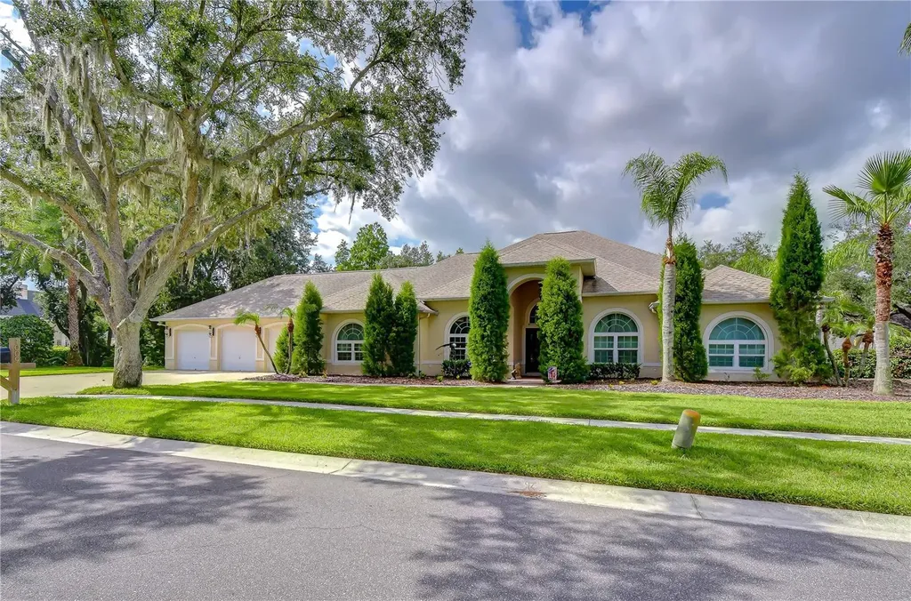 1009 Emerald Creek Drive Valrico FL 33596