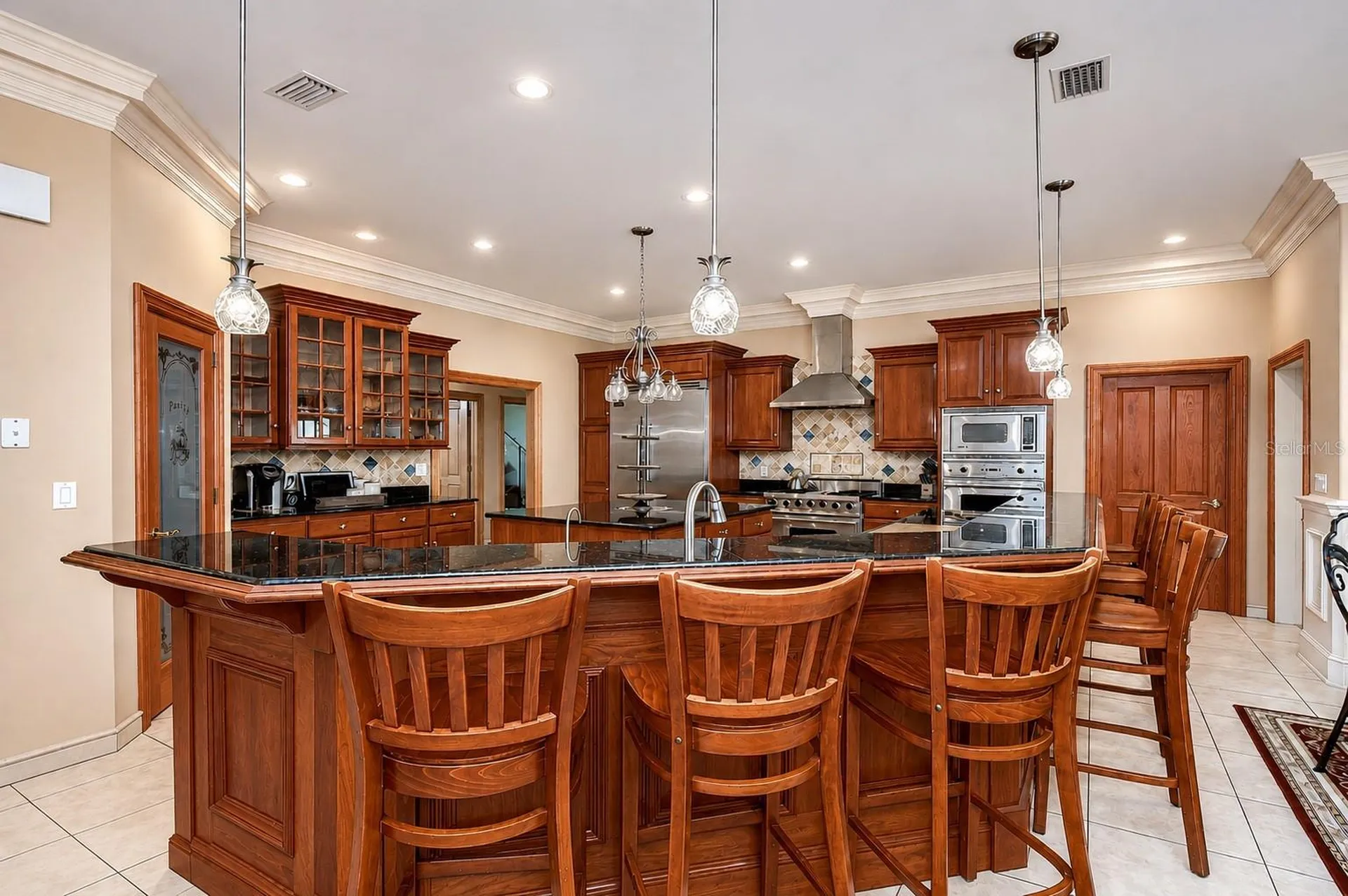 1009 Emerald Creek Drive Valrico FL 33596