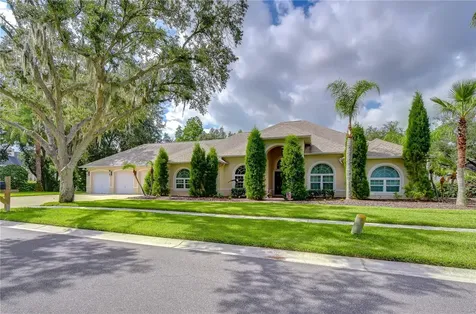 1009 Emerald Creek Drive Valrico FL 33596