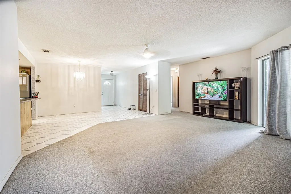 18425 Swan Lake Drive Lutz FL 33549