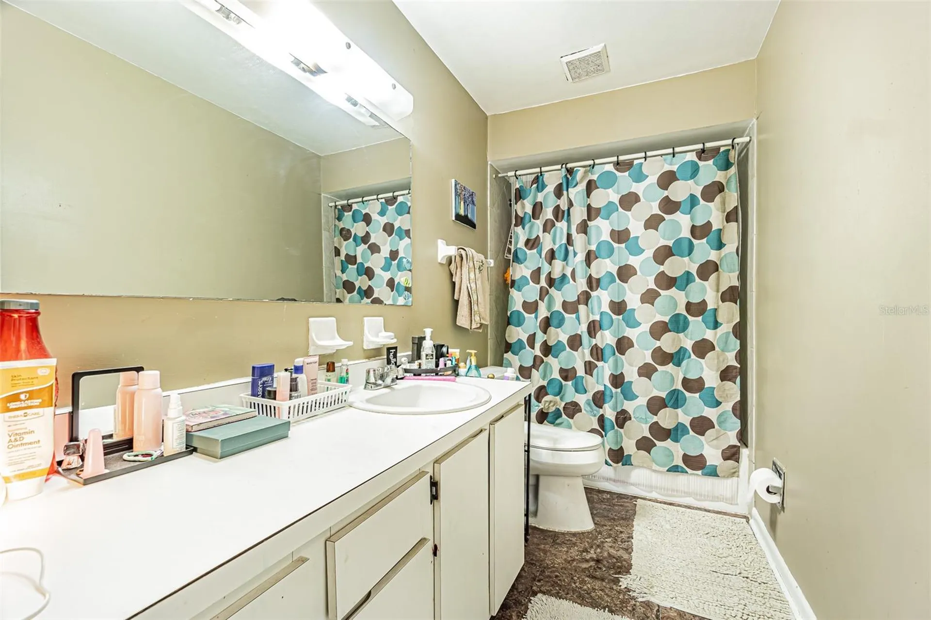 18425 Swan Lake Drive Lutz FL 33549