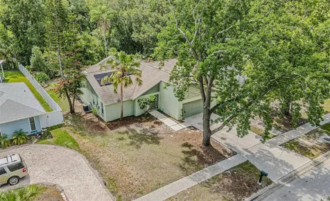 18425 Swan Lake Drive Lutz FL 33549
