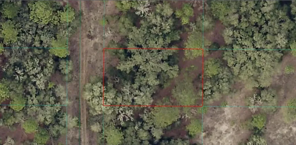 0 SW 157th Terrace Ocala FL 34481