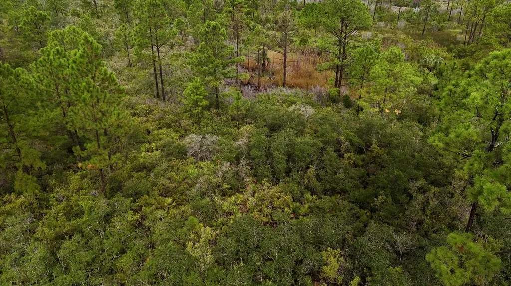 Lots 8, 9, 15 00 Adams Beach Road Perry FL 32348