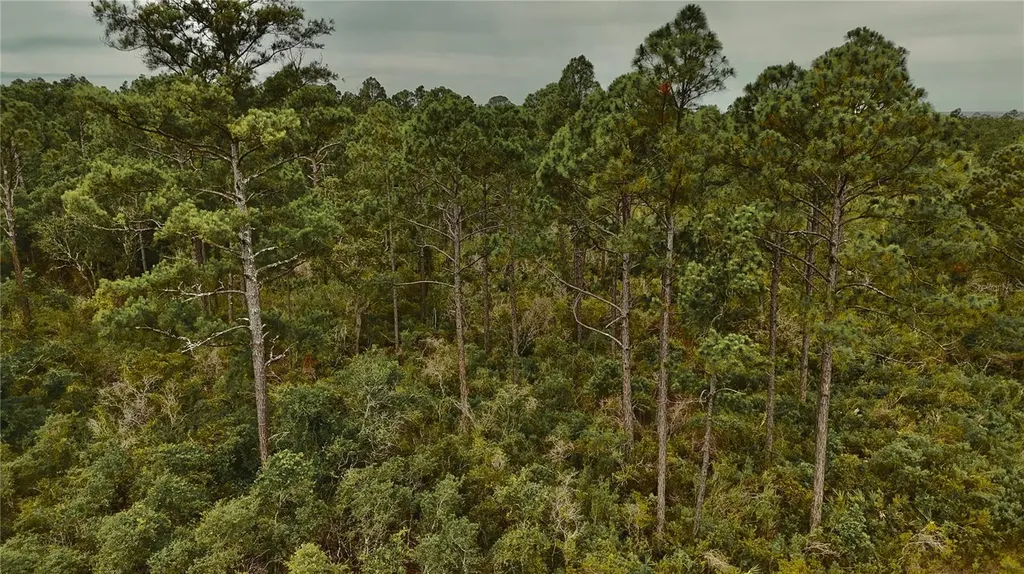 Lots 8, 9, 15 00 Adams Beach Road Perry FL 32348