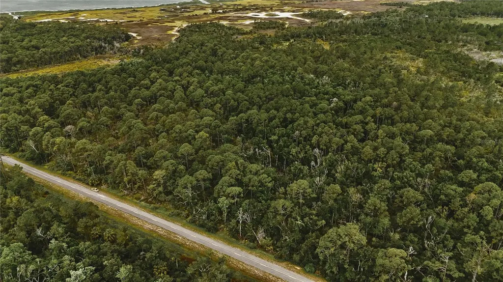 Lots 8, 9, 15 00 Adams Beach Road Perry FL 32348