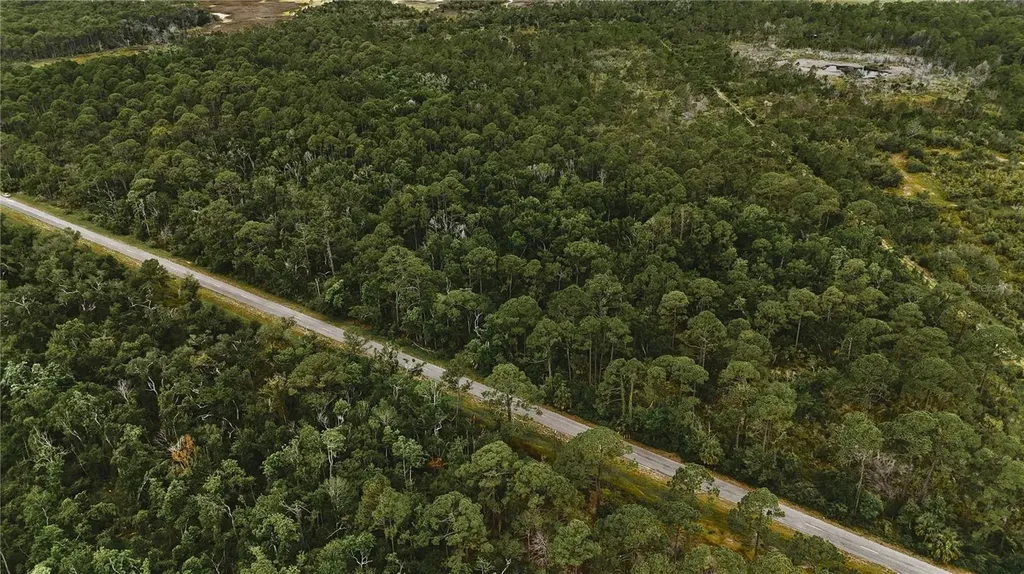 Lots 8, 9, 15 00 Adams Beach Road Perry FL 32348