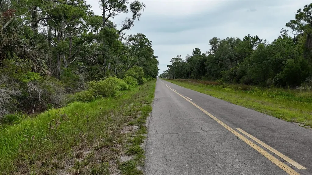 Lots 8, 9, 15 00 Adams Beach Road Perry FL 32348