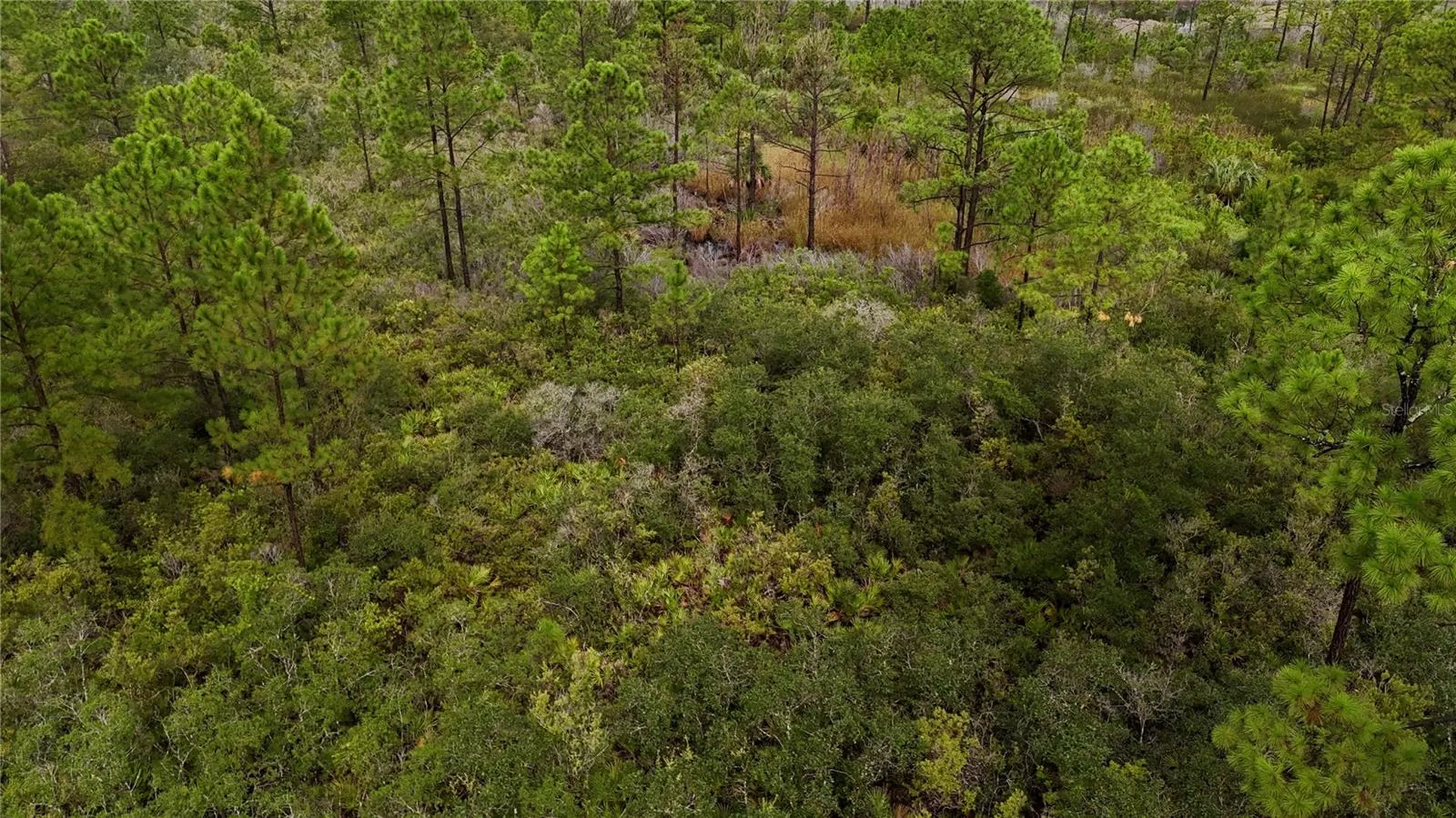 Lots 8, 9, 15 00 Adams Beach Road Perry FL 32348