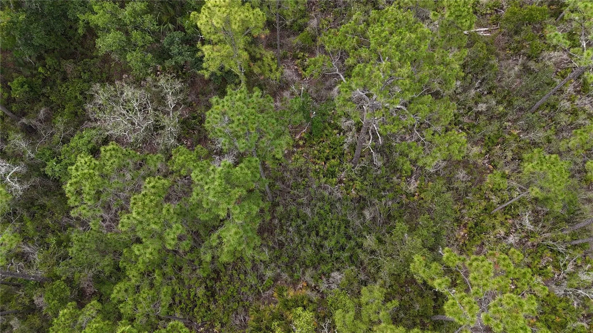 Lots 8, 9, 15 00 Adams Beach Road Perry FL 32348