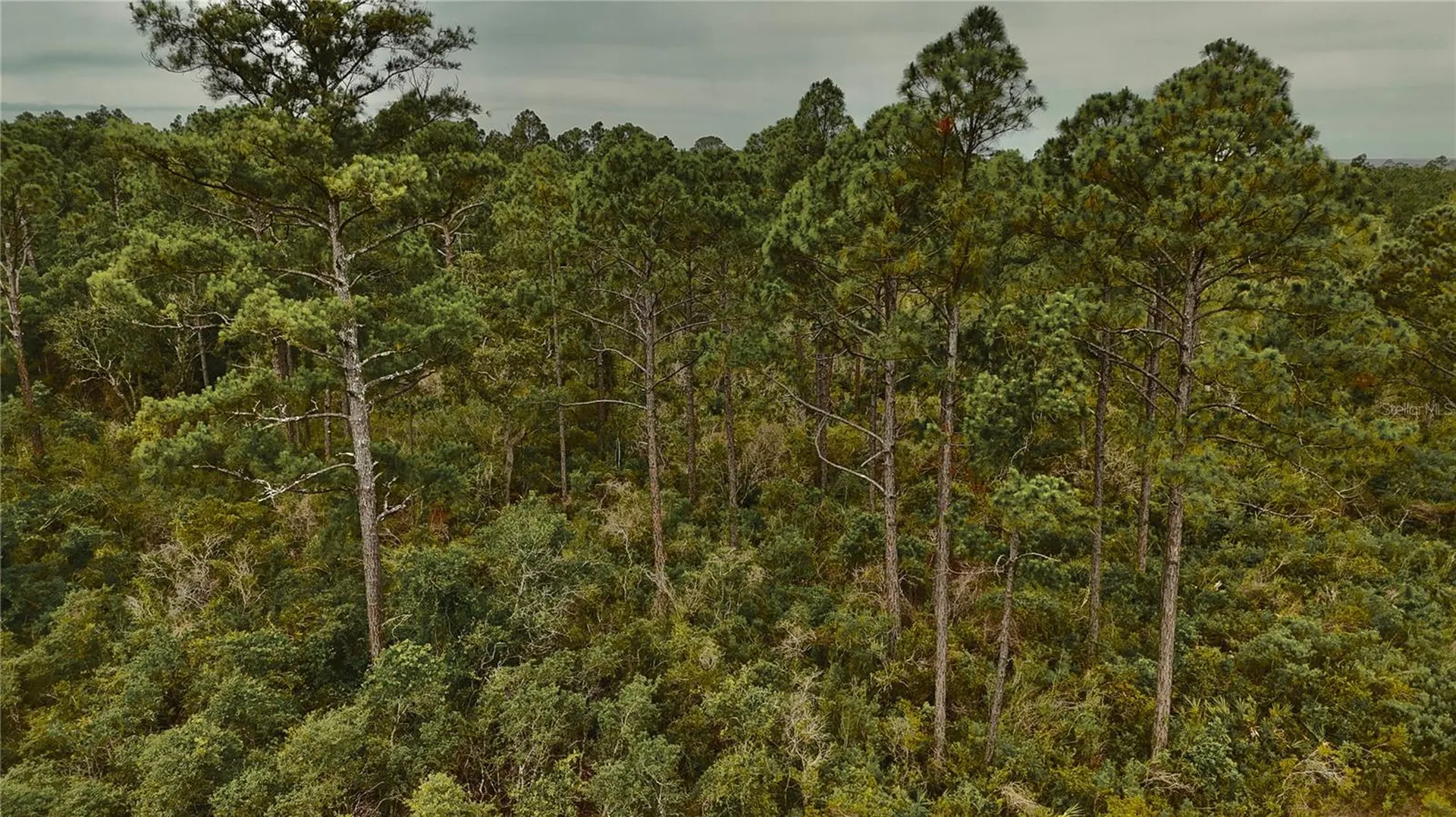 Lots 8, 9, 15 00 Adams Beach Road Perry FL 32348