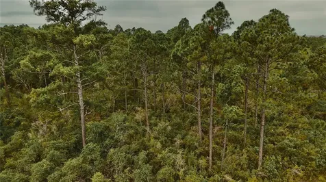 Lots 8, 9, 15 00 Adams Beach Road Perry FL 32348