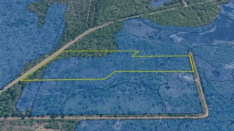 Lots 8, 9, 15 00 Adams Beach Road Perry FL 32348