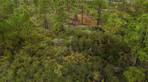 Lots 8, 9, 15 00 Adams Beach Road Perry FL 32348