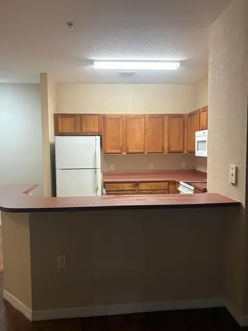 8103 Lillies Way Orlando FL 32825