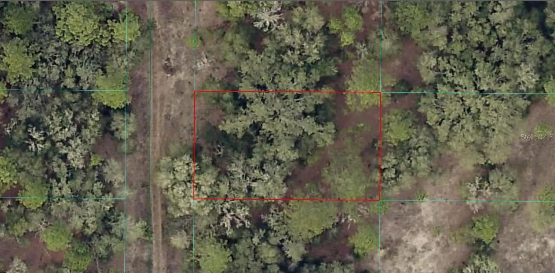 SW 153rd Avenue Lot 27 Ocala FL 34481