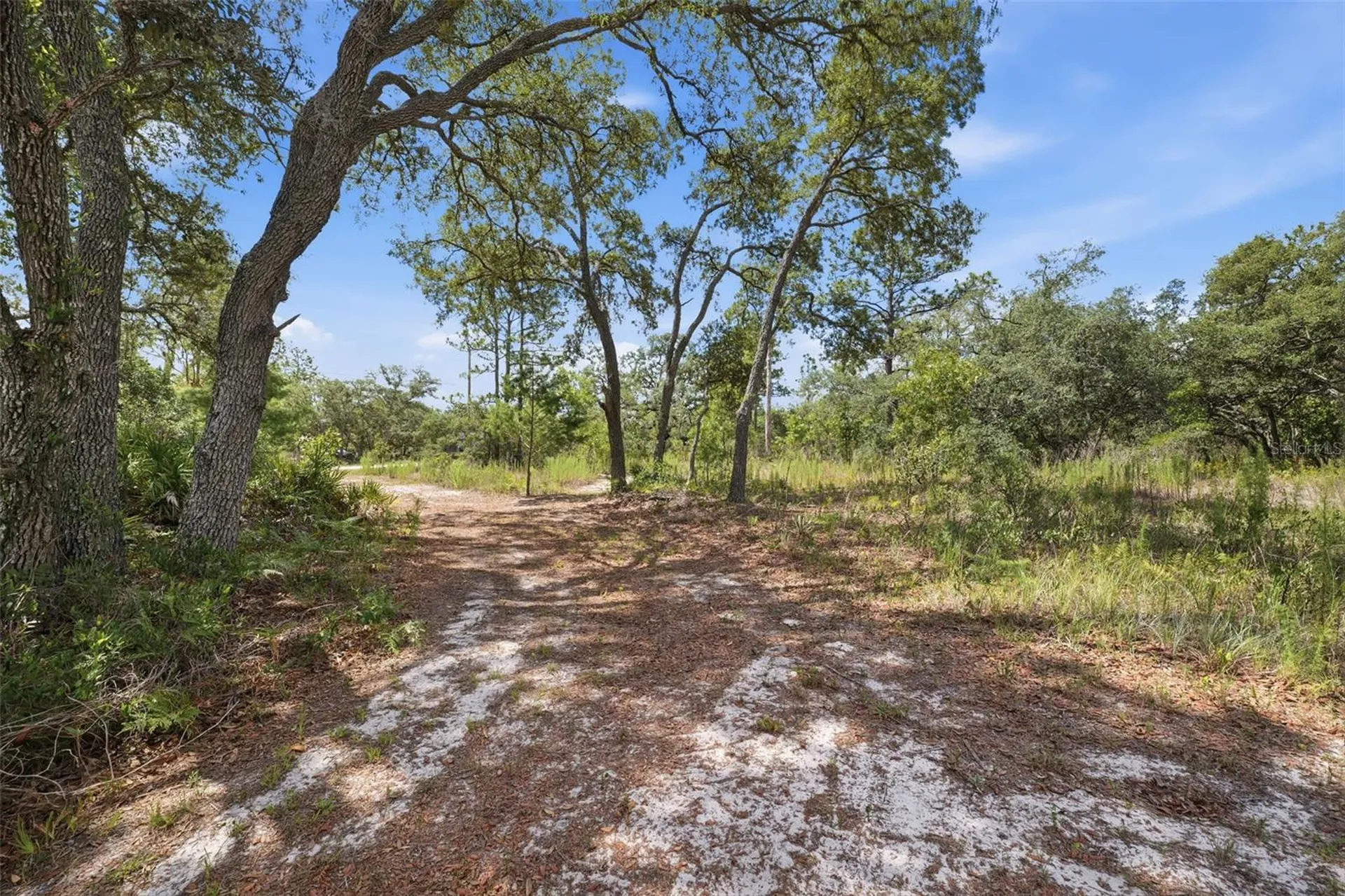11020 Sage Thrasher Avenue Weeki Wachee FL 34614