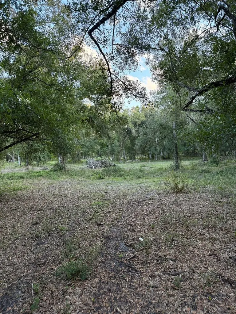 SE Brown Road Arcadia FL 34266
