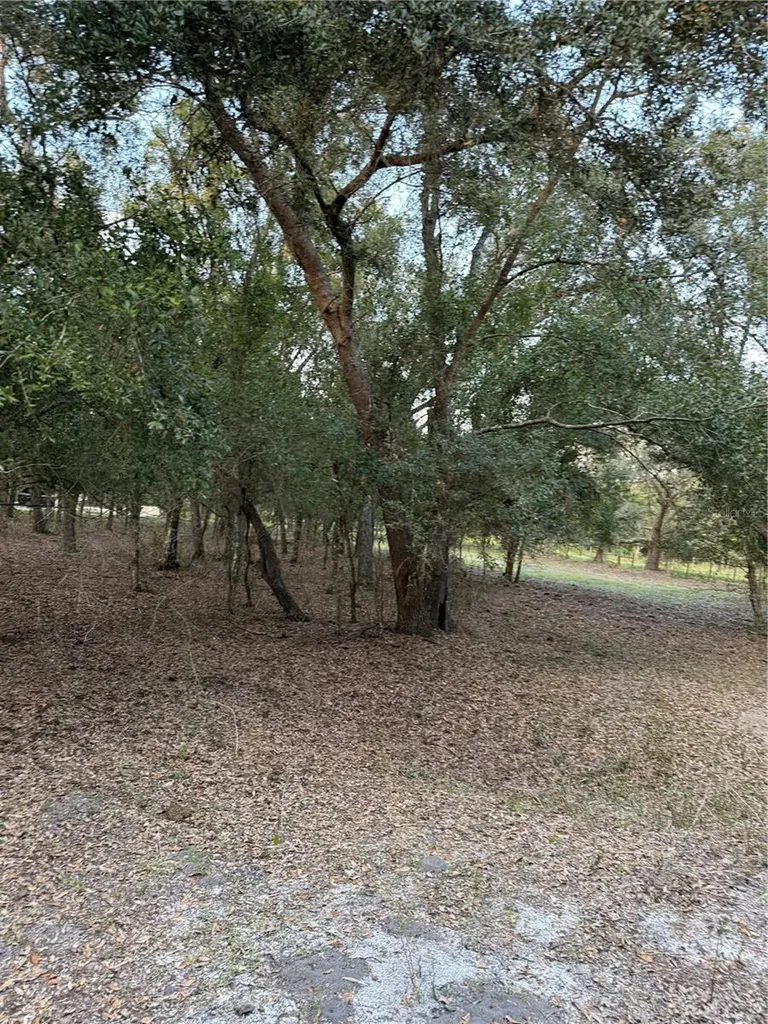 SE Brown Road Arcadia FL 34266
