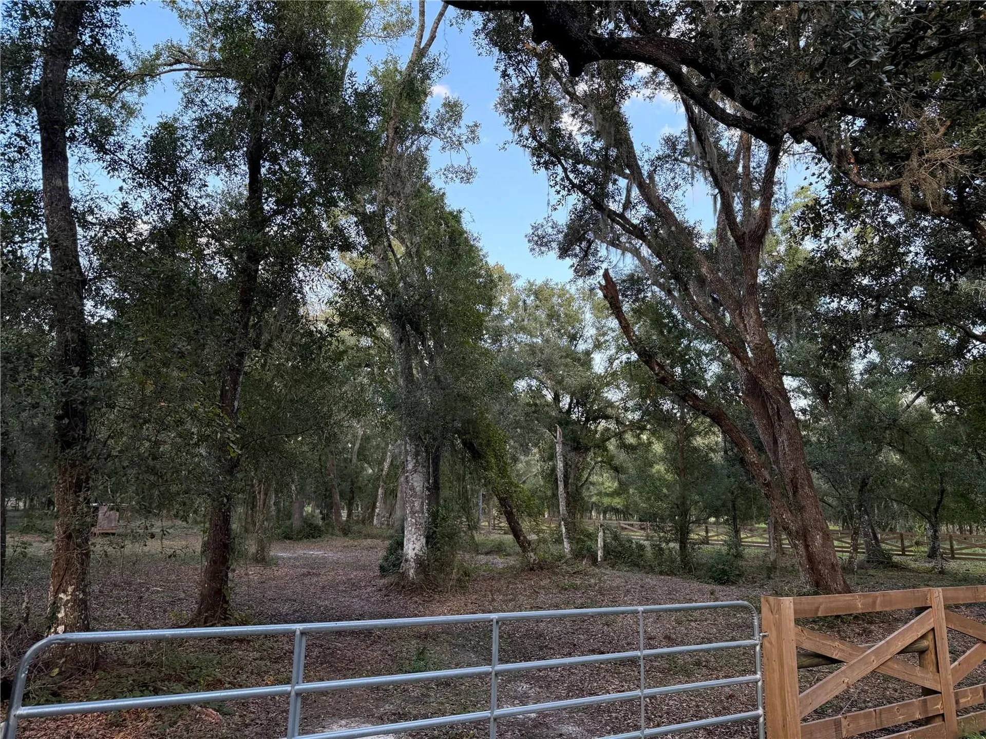 SE Brown Road Arcadia FL 34266