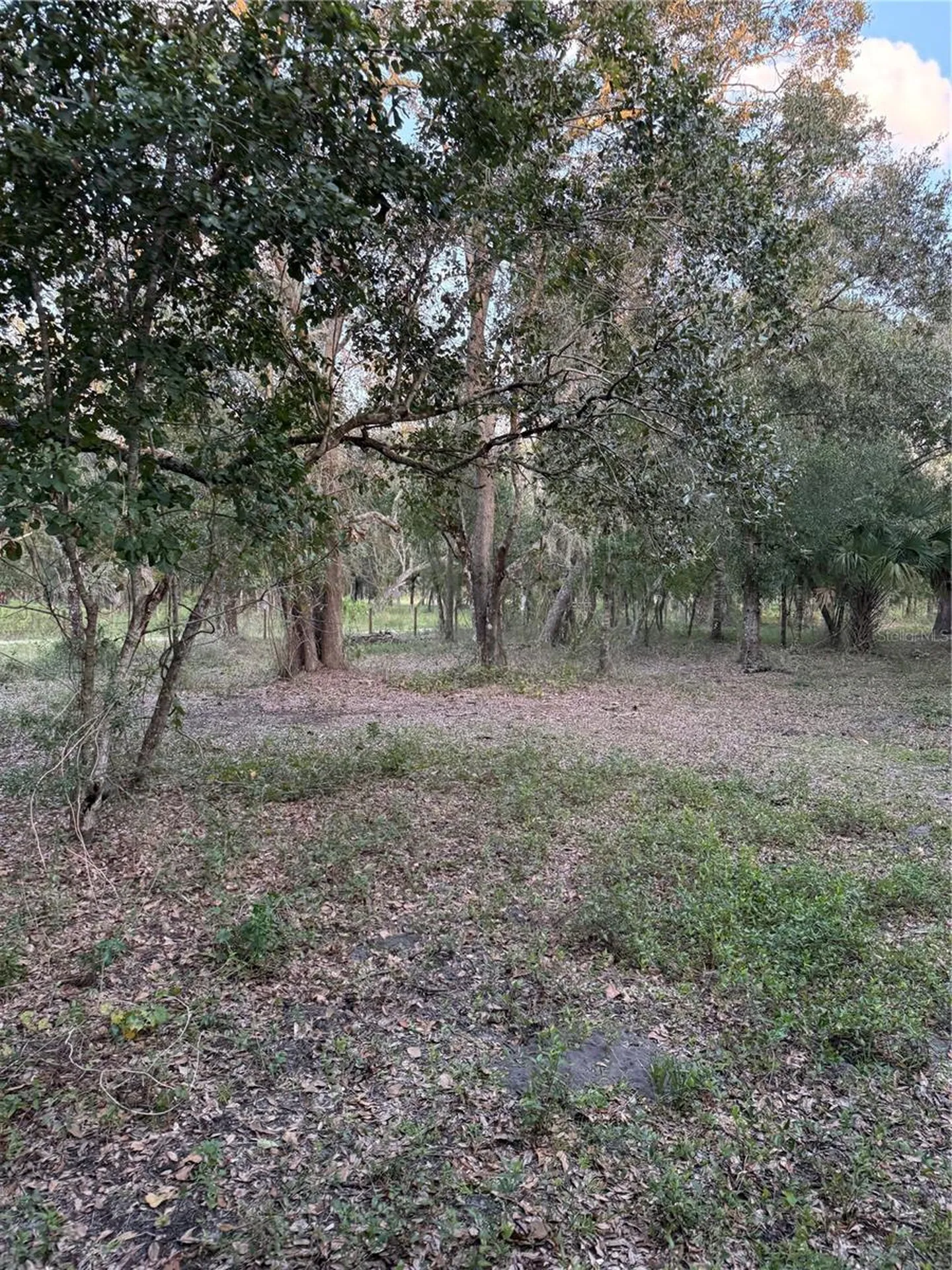 SE Brown Road Arcadia FL 34266